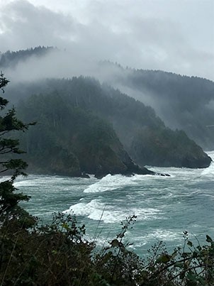 heceta head beach